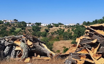 Parceria pelo futuro | UNIVERSIDADE DO ALGARVE APRESENTA MESTRADO EM GESTÃO SUSTENTÁVEL DOS ESPAÇOS RURAIS EM SÃO BRÁS DE ALPORTEL