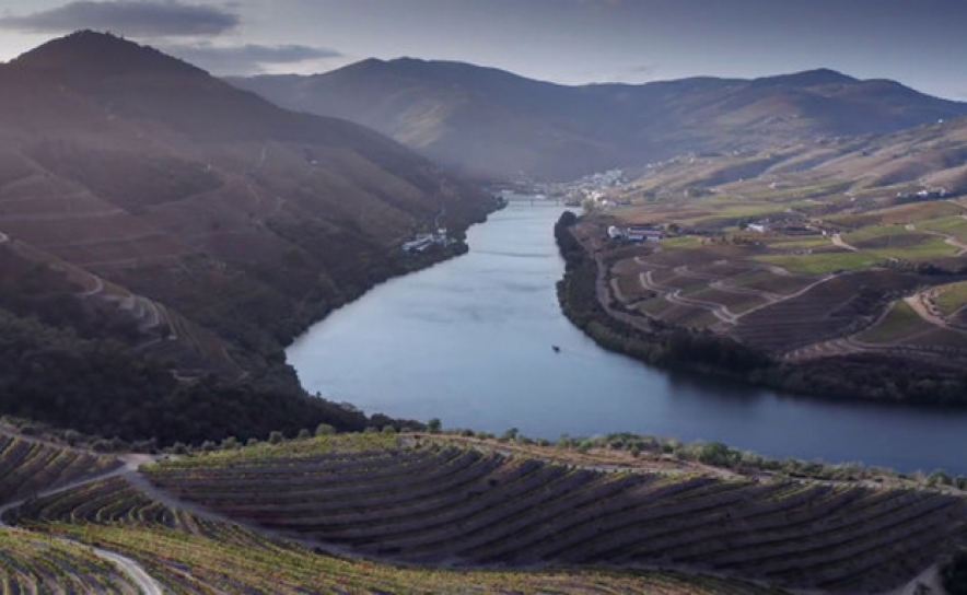 Vinhas e mais vinhas / Turismo de Portugal