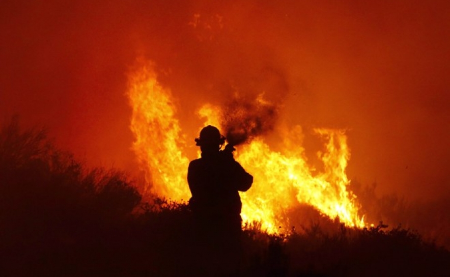 Seis menores identificados pela PSP este ano por suspeita de incêndios florestais