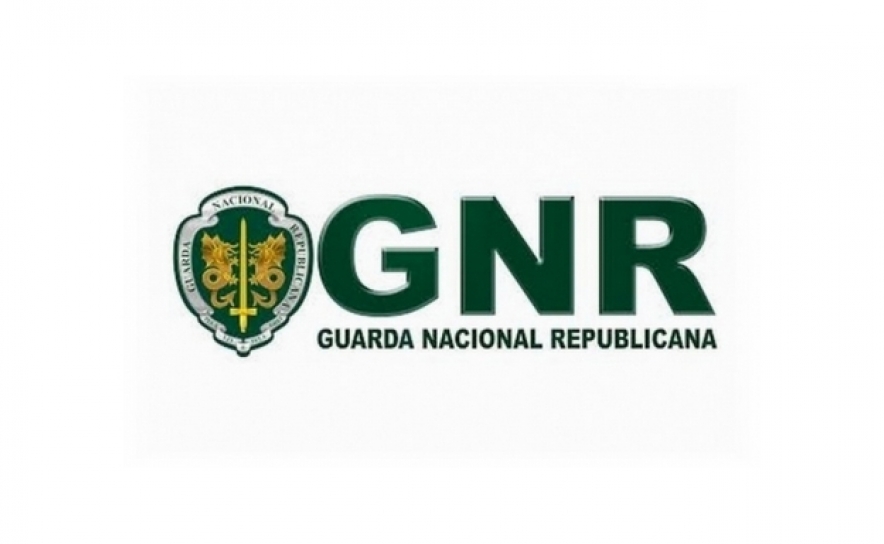 GNR detém cerca de 280 condutores por semana com taxa de álcool considerada crime