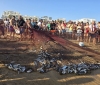 Quarteira revive tradição secular: Lavada atrai multidão aos Petiscos do Pescador 