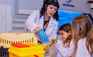 Zoomarine Algarve chega à KidZania Lisboa com experiência imersiva de resgate marinho