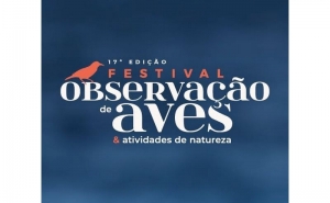 Sagres recebe a 17.ª edição do Festival de Observação de Aves e Atividades de Natureza, de 2 a 5 de outubro