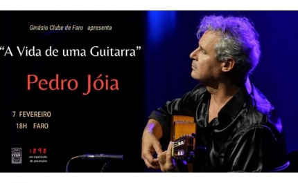 A Vida de uma Guitarra