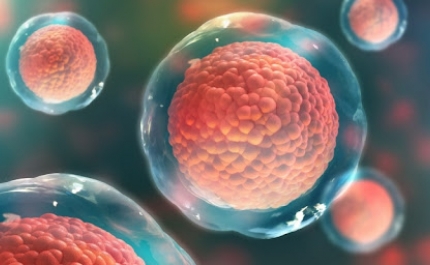 Melhorias na mobilidade de crianças com paralisia cerebral visíveis após tratamento com células estaminais do cordão umbilical