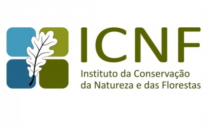 Semana da Ria Formosa promove atividades educativas de 17 a 24 de abril