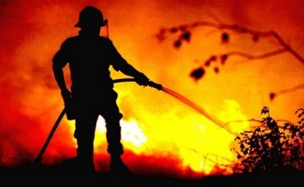 Incêndios | Fogo florestal de grandes dimensões lavra no concelho de Monchique