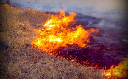 Incêndios: Água Monchique estima prejuízos de 60 mil euros por dia 