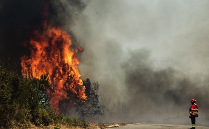 Incêndios: Fogo no Algarve tem duas frentes e autoridades esperam dominá-lo de madrugada
