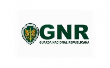 Menina de 4 anos morre atropelada em Castro Marim
