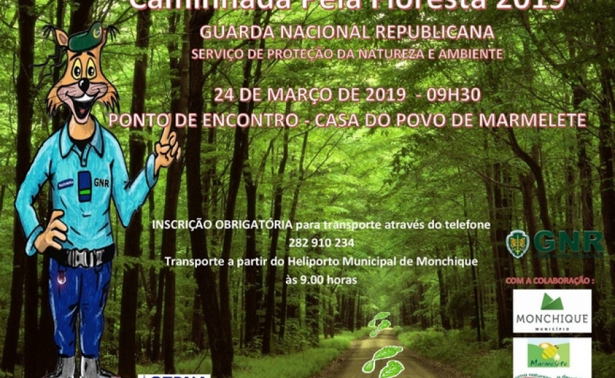 CAMINHADA PELA FLORESTA