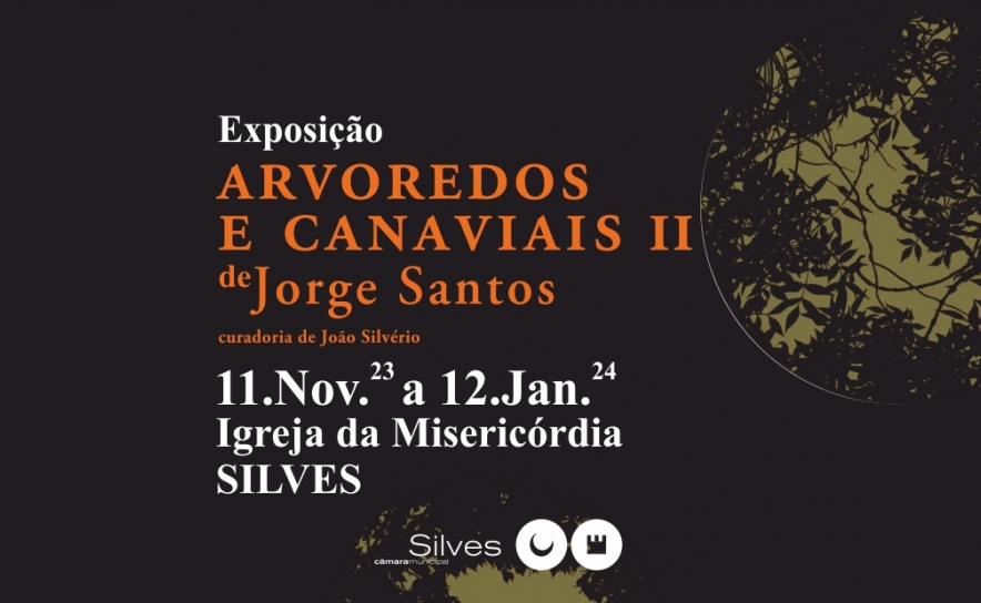 IGREJA DA MISERICÓRDIA RECEBE EXPOSIÇÃO «ARVOREDOS E CANAVIAIS II», DE JORGE SANTOS