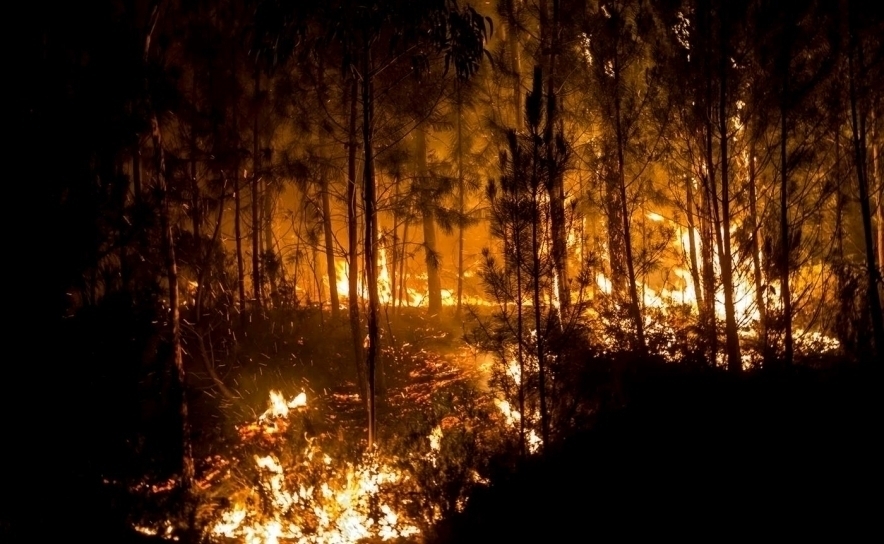 Incêndios: Fogo que começou junto à Universidade do Algarve alastrou a Almancil (Loulé) (atualização)