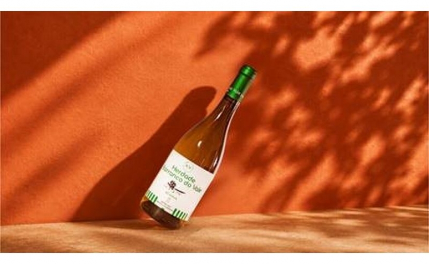 18ª edição do Concurso de Vinhos do Algarve